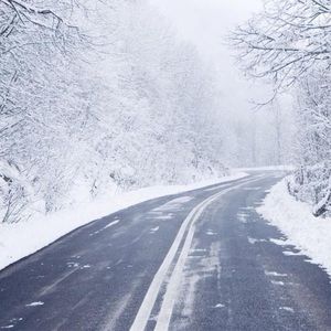 Meet your Posher, Tabitha